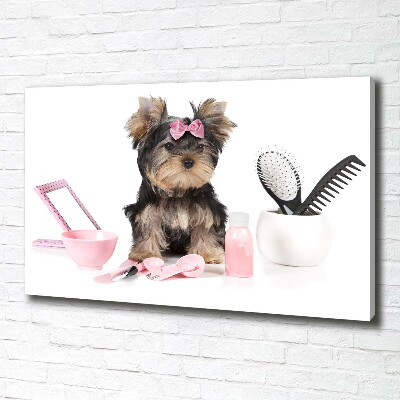 Fotobild Yorkshire Kosmetik