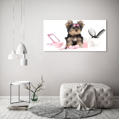 Fotobild Yorkshire Kosmetik