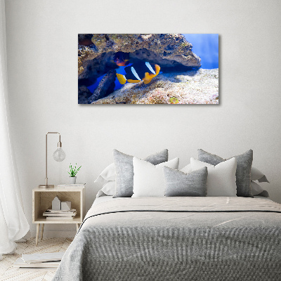 Wandbild Tropische Fische