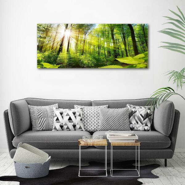 Wandbild Wald in der Sonne
