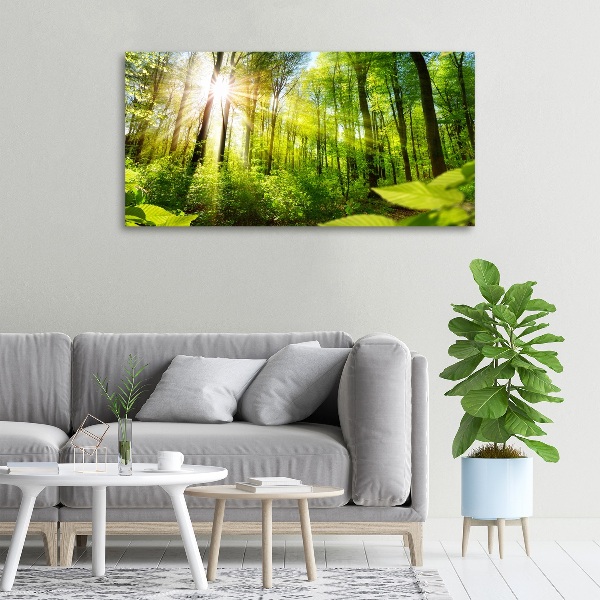 Wandbild Wald in der Sonne