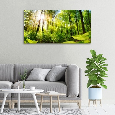 Wandbild Wald in der Sonne
