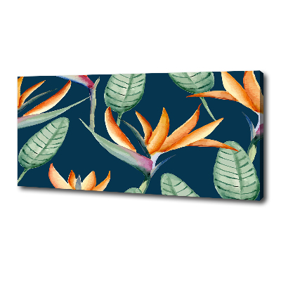 Wandbild Strelitzia reginae