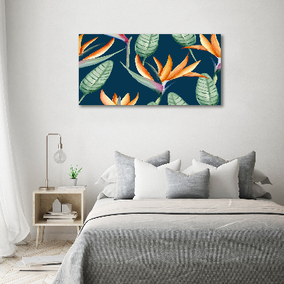 Wandbild Strelitzia reginae