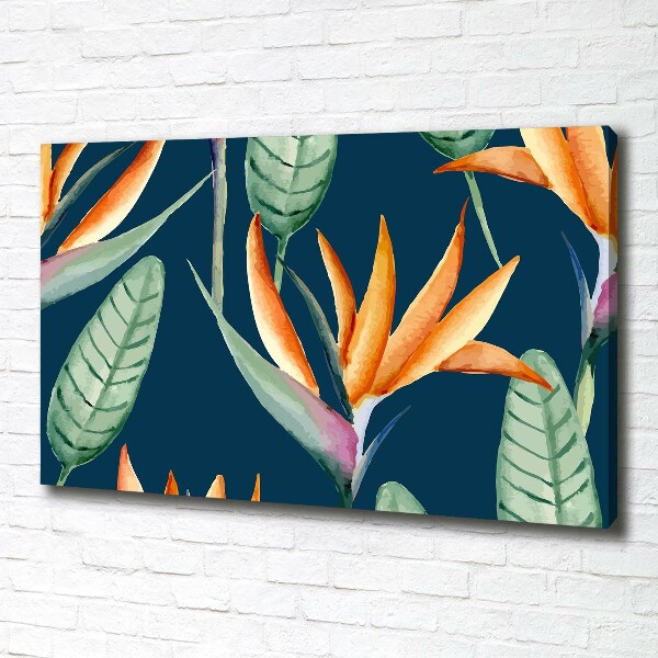 Wandbild Strelitzia reginae