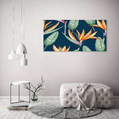Wandbild Strelitzia reginae