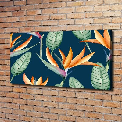 Wandbild Strelitzia reginae