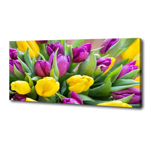 Fotobild Bunte Tulpen