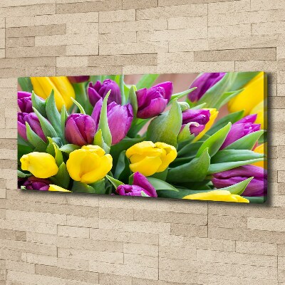 Fotobild Bunte Tulpen