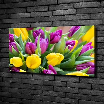 Fotobild Bunte Tulpen
