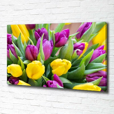 Fotobild Bunte Tulpen