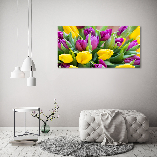 Fotobild Bunte Tulpen