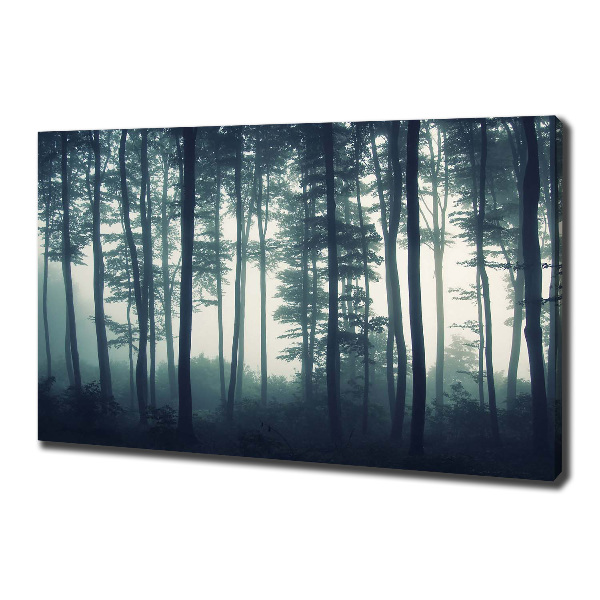 Bild auf leinwand Wald im Nebel