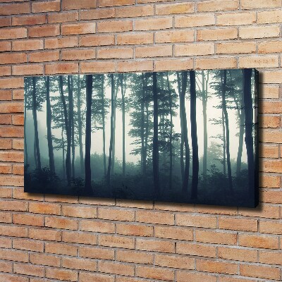 Bild auf leinwand Wald im Nebel
