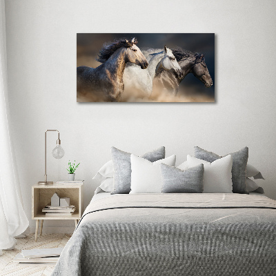 Bild auf leinwand Pferde im Galopp