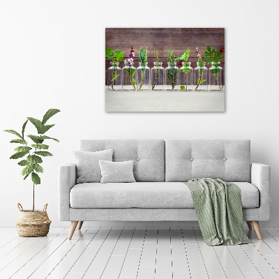 Bild auf leinwand Pflanzen in Gläsern