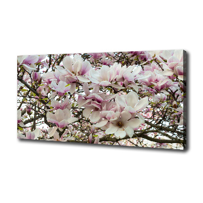 Wandbild Magnolienblüten