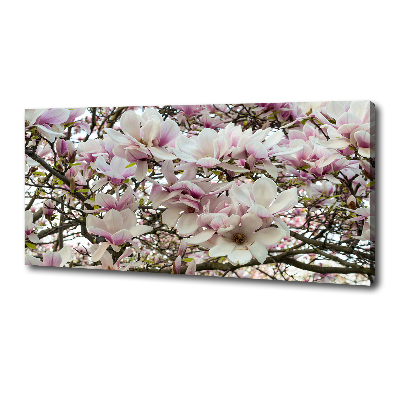 Wandbild Magnolienblüten