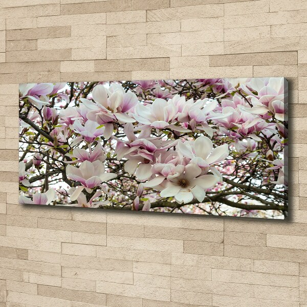 Wandbild Magnolienblüten