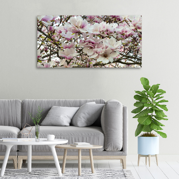 Wandbild Magnolienblüten