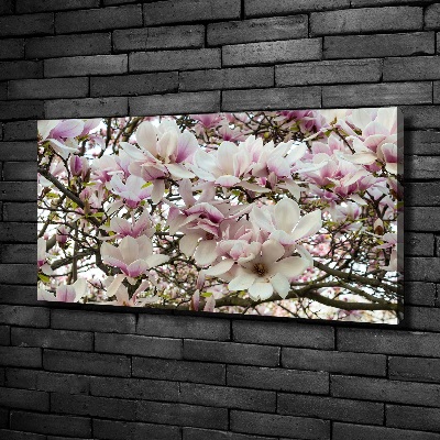 Wandbild Magnolienblüten