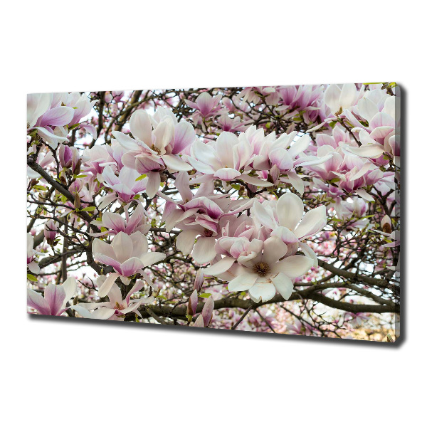 Wandbild Magnolienblüten