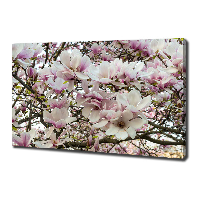 Wandbild Magnolienblüten