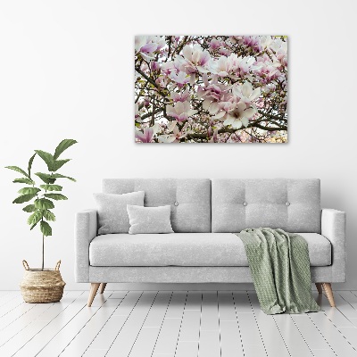 Wandbild Magnolienblüten