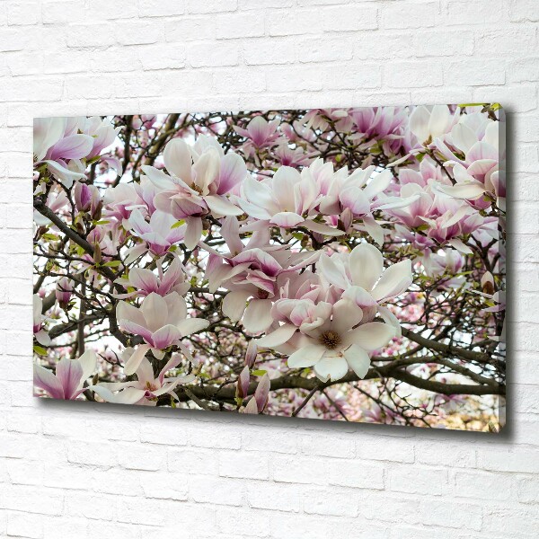 Wandbild Magnolienblüten