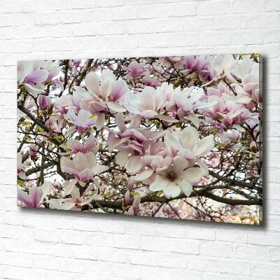 Wandbild Magnolienblüten