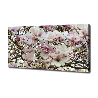 Wandbild Magnolienblüten