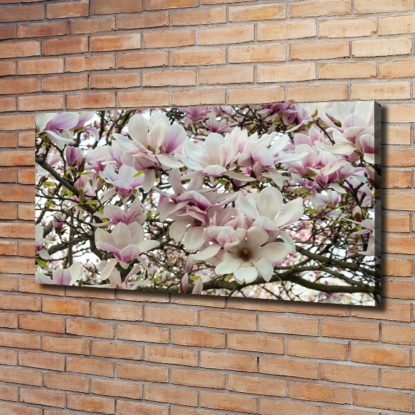 Wandbild Magnolienblüten