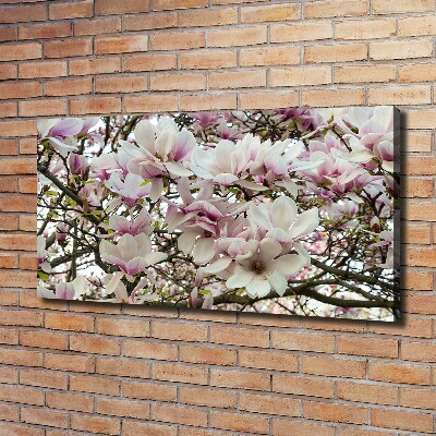 Wandbild Magnolienblüten
