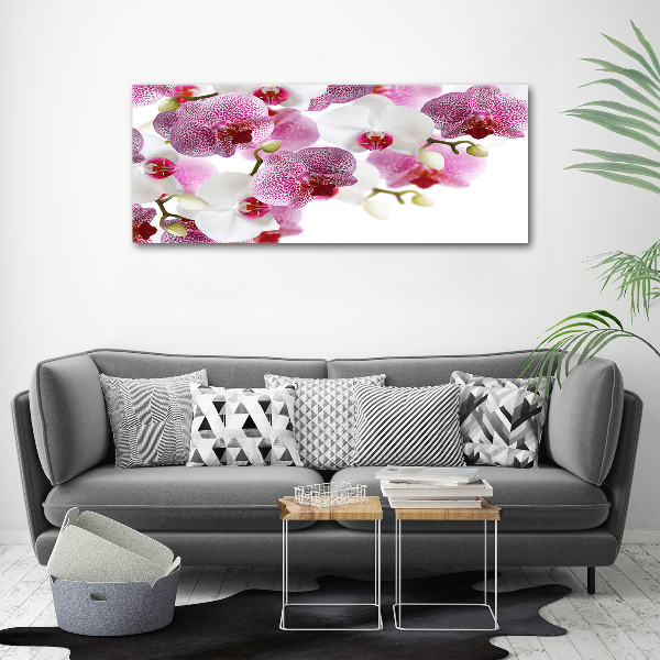 Bild auf leinwand Orchidee