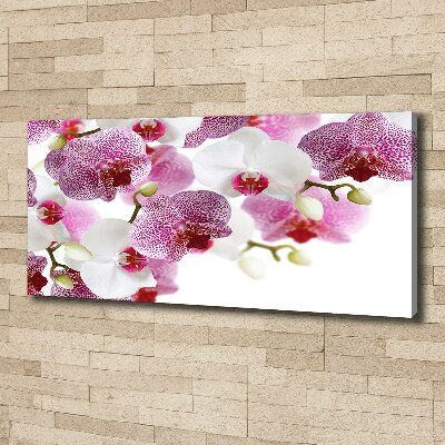 Bild auf leinwand Orchidee