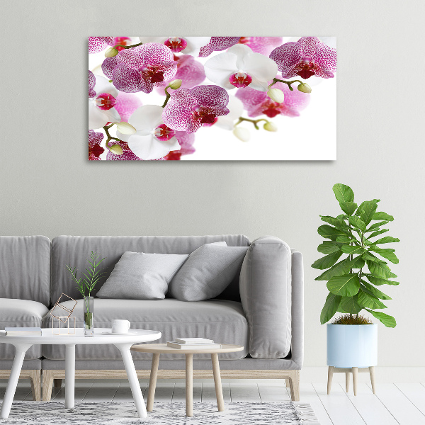 Bild auf leinwand Orchidee