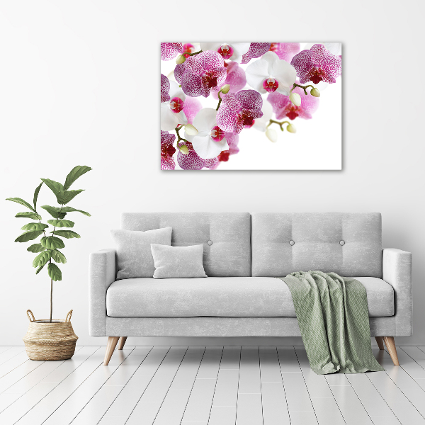 Bild auf leinwand Orchidee