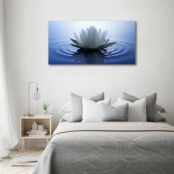 Wandbild Seerose