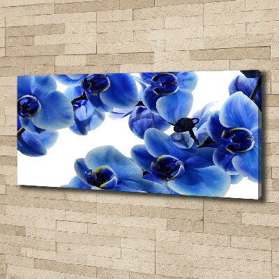 Fotobild Blaue Orchidee