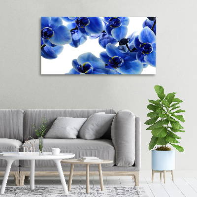 Fotobild Blaue Orchidee