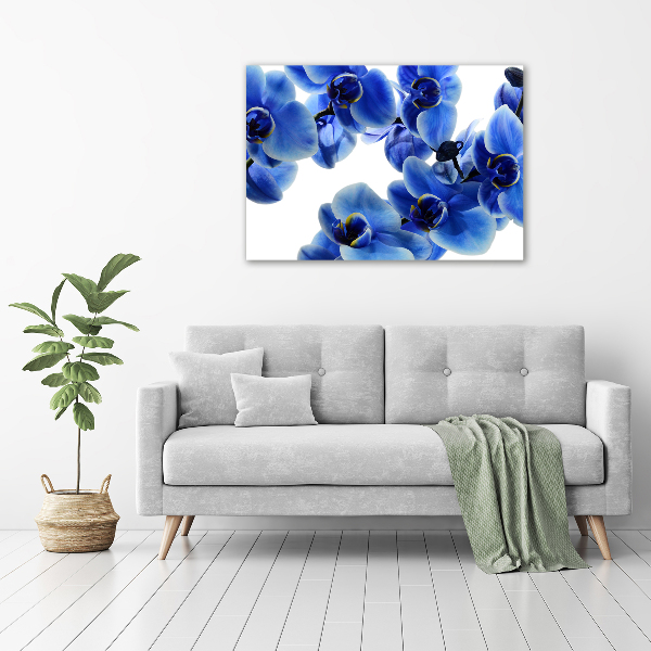 Fotobild Blaue Orchidee