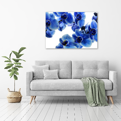 Fotobild Blaue Orchidee