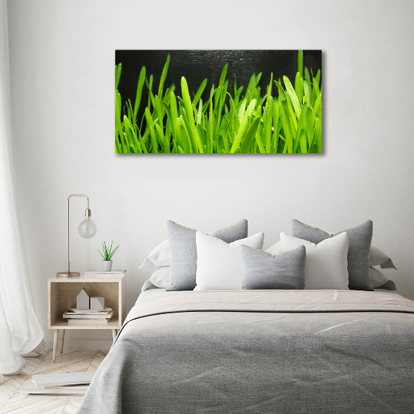 Bild auf leinwand Gras