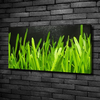 Bild auf leinwand Gras