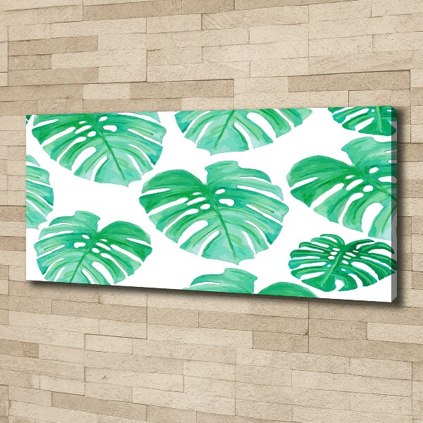 Wandbild Monstera