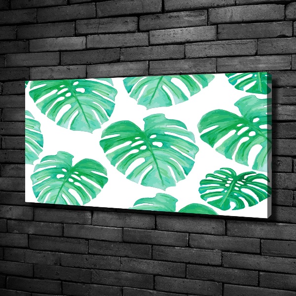 Wandbild Monstera