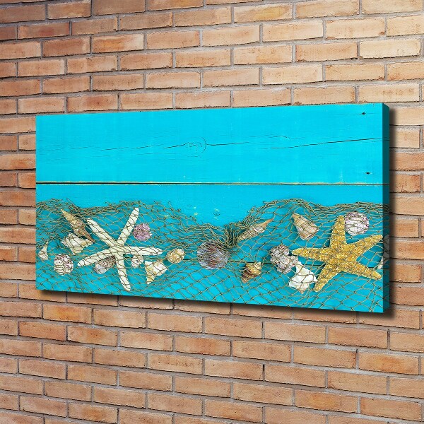 Bild auf leinwand Seesterne und Muscheln