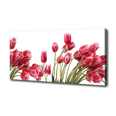 Bild auf leinwand Rote Tulpen