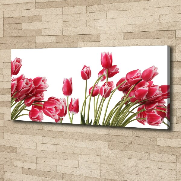 Bild auf leinwand Rote Tulpen