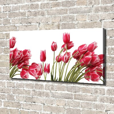 Bild auf leinwand Rote Tulpen